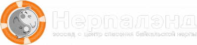 NerpaLand